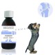 Biogance Phytocare Joint + Souplesse des Articulations Chien et Chat 200 ml