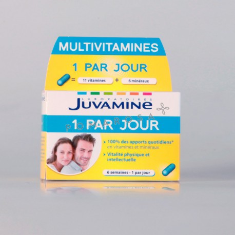 Juvamine Multivitamines 1 Par Jour 42 Gélules