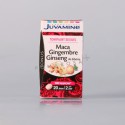 Juvamine Maca Gingembre Ginseng 40 Gélules 