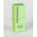 Pranarôm Huile Essentielle Eucalyptus Globuleux 10 ml